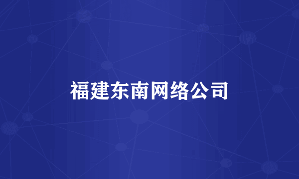 福建东南网络公司