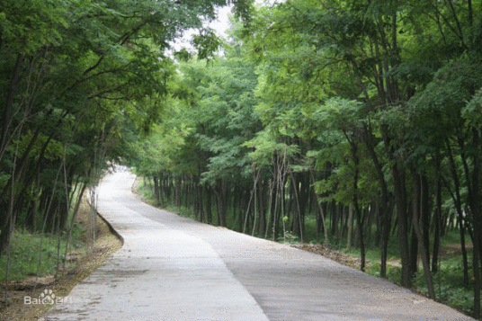 大村村（云南昆明市五华区沙朗乡下辖村）