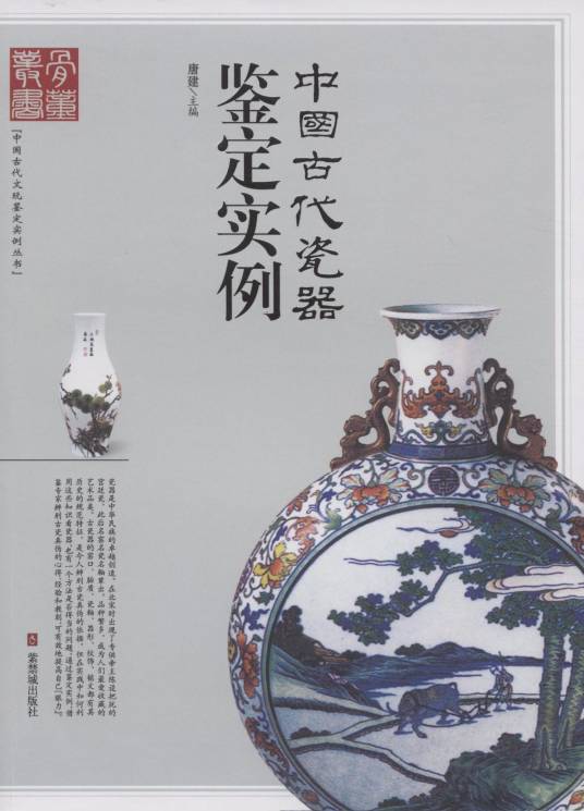 中国古代瓷器鉴定实例