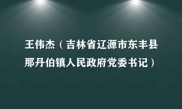 王伟杰（吉林省辽源市东丰县那丹伯镇人民政府党委书记）