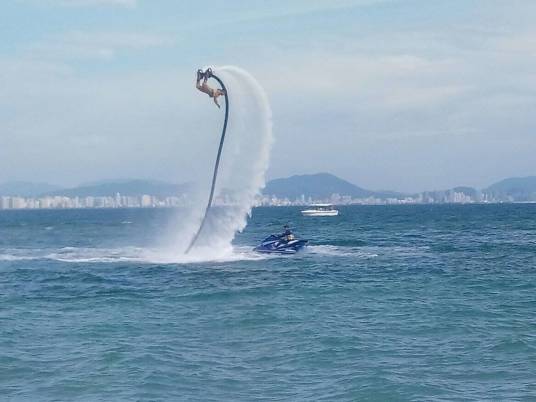 海天飞龙