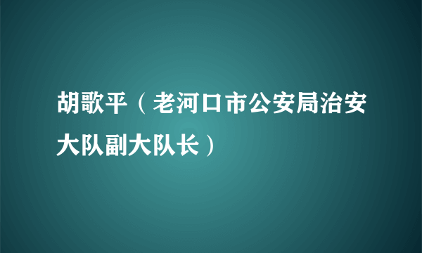 胡歌平（老河口市公安局治安大队副大队长）