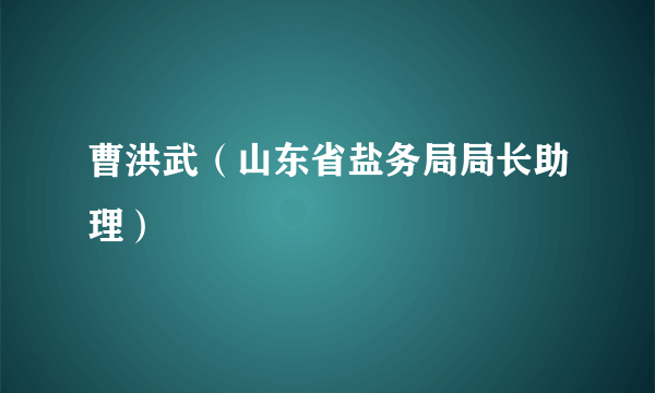 曹洪武（山东省盐务局局长助理）