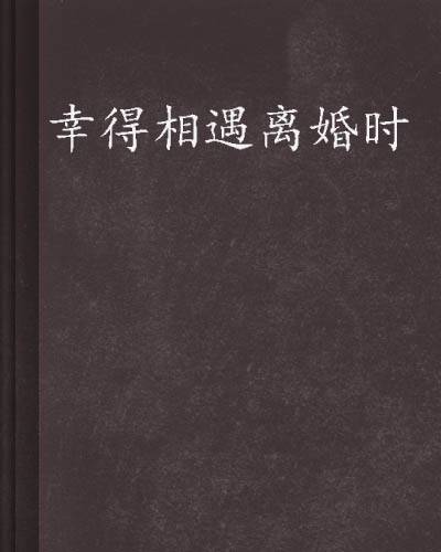 幸得相遇离婚时（苏贞又创作网络小说）