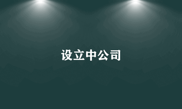 设立中公司