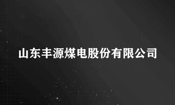 山东丰源煤电股份有限公司