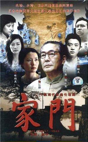 家门（2006年杜雨露、何赛飞主演电视剧）