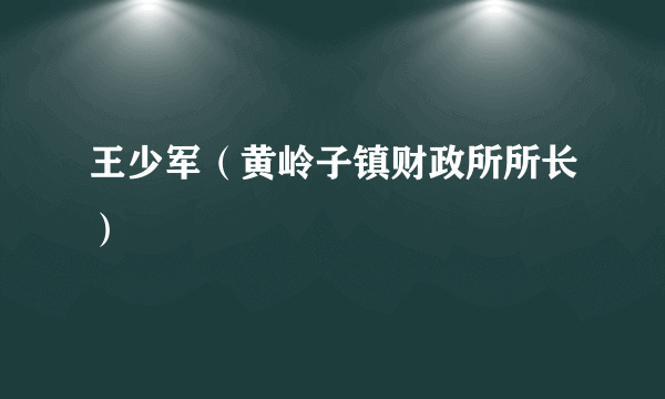 王少军（黄岭子镇财政所所长）