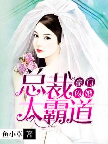 豪门闪婚：总裁太霸道