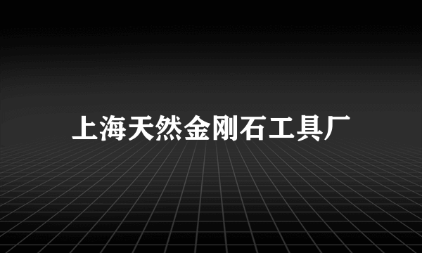 上海天然金刚石工具厂