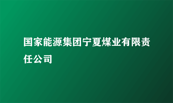 国家能源集团宁夏煤业有限责任公司