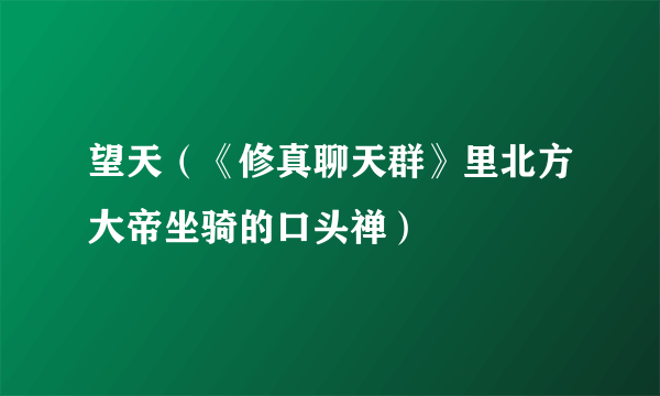 望天（《修真聊天群》里北方大帝坐骑的口头禅）