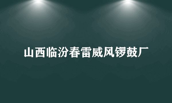 山西临汾春雷威风锣鼓厂