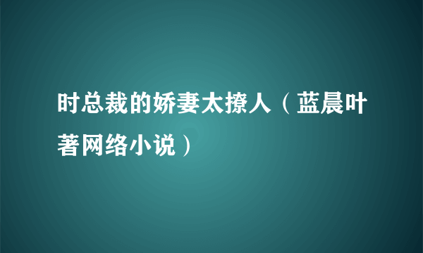 时总裁的娇妻太撩人（蓝晨叶著网络小说）