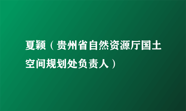 夏颖（贵州省自然资源厅国土空间规划处负责人）