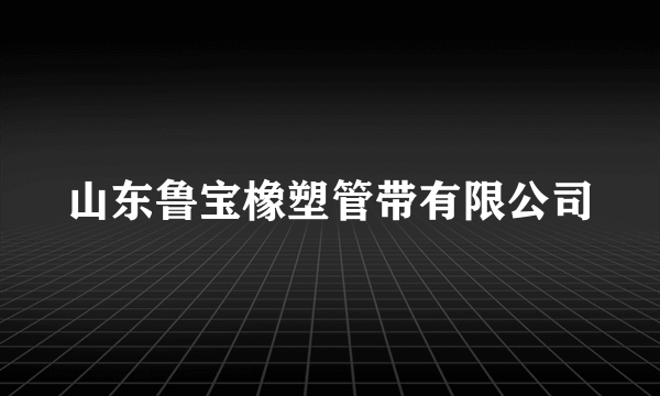 山东鲁宝橡塑管带有限公司