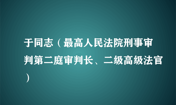 于同志（最高人民法院刑事审判第二庭审判长、二级高级法官）