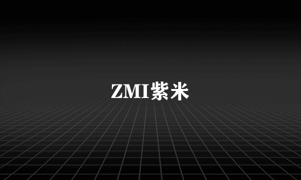 ZMI紫米