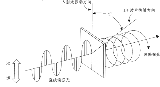 圆偏振光