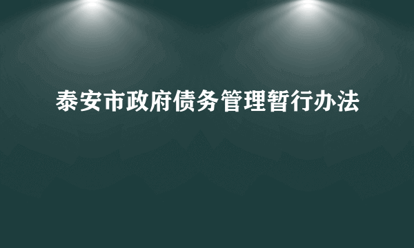 泰安市政府债务管理暂行办法