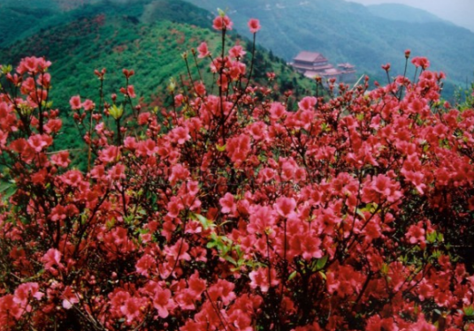 湖南阳明山国家森林公园