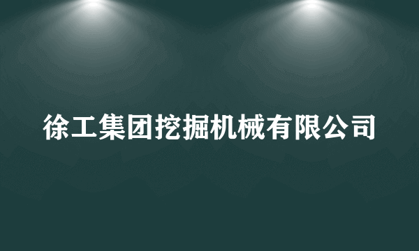 徐工集团挖掘机械有限公司