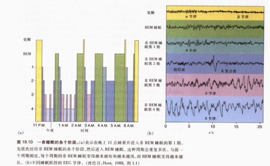 睡眠模式