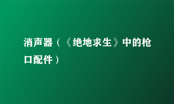 消声器（《绝地求生》中的枪口配件）