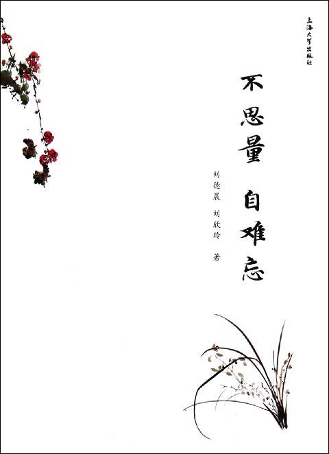 不思量自难忘（杉青创作的网络小说）