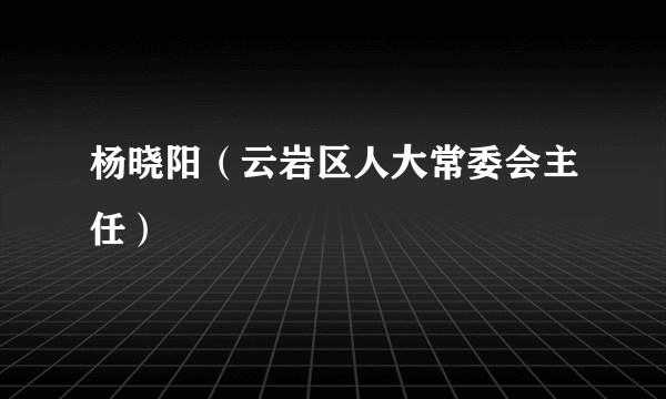 杨晓阳（云岩区人大常委会主任）