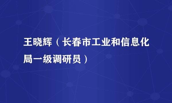 王晓辉（长春市工业和信息化局一级调研员）