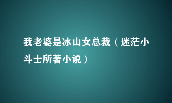 我老婆是冰山女总裁（迷茫小斗士所著小说）