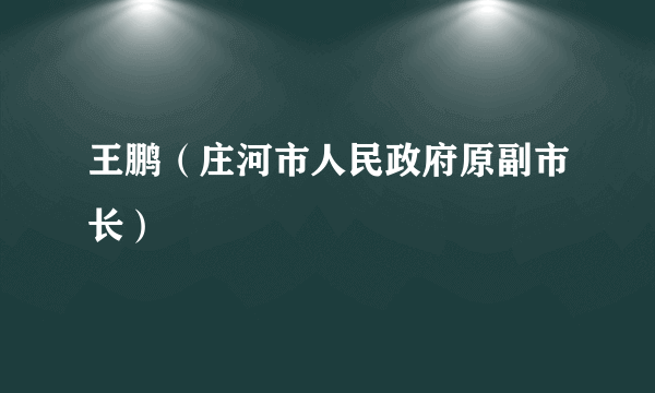 王鹏（庄河市人民政府原副市长）