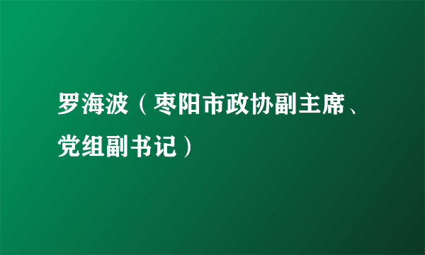 罗海波（枣阳市政协副主席、党组副书记）