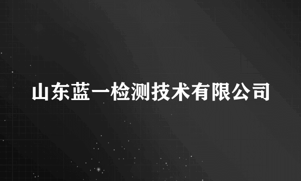 山东蓝一检测技术有限公司