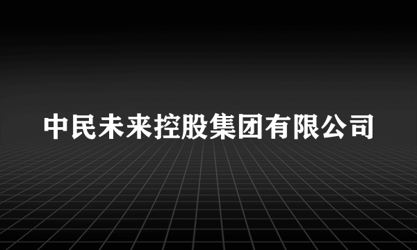 中民未来控股集团有限公司