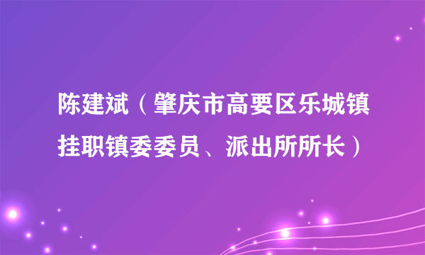 陈建斌（肇庆市高要区乐城镇挂职镇委委员、派出所所长）