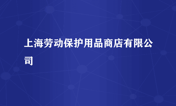 上海劳动保护用品商店有限公司