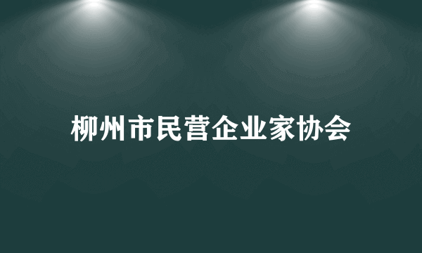 柳州市民营企业家协会