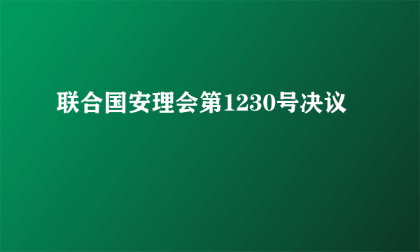 联合国安理会第1230号决议