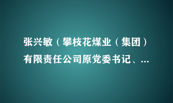 张兴敏（攀枝花煤业（集团）有限责任公司原党委书记、董事长）