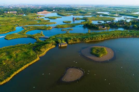 浙江杭州湾国家湿地公园