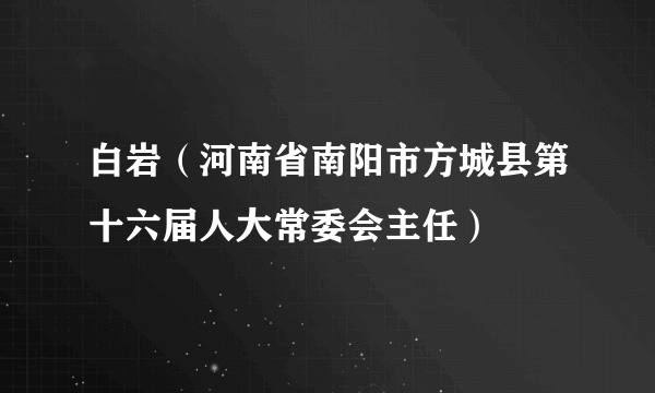 白岩（河南省南阳市方城县第十六届人大常委会主任）