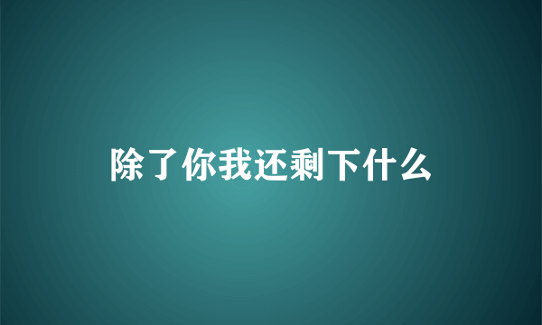 除了你我还剩下什么