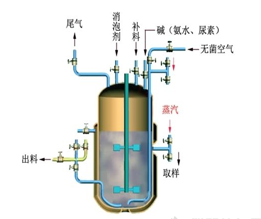 实罐灭菌