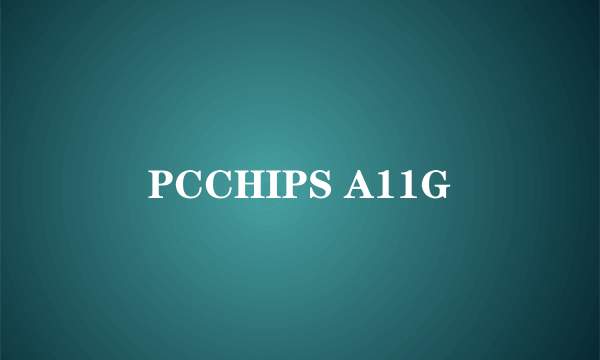 PCCHIPS A11G