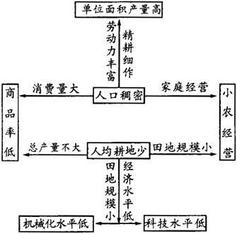 季风水田农业