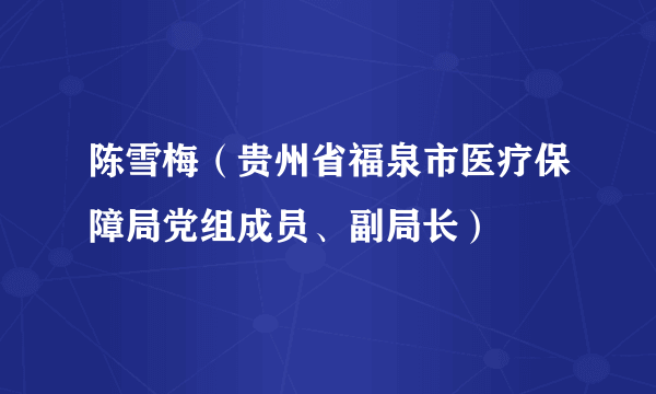 陈雪梅（贵州省福泉市医疗保障局党组成员、副局长）