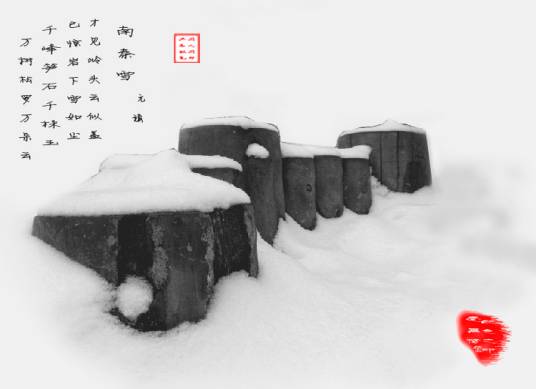 南秦雪