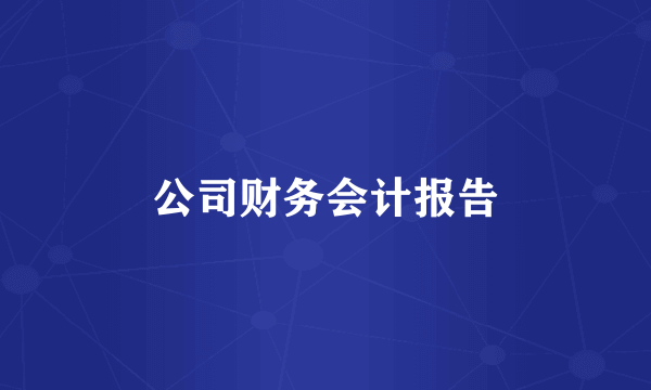 公司财务会计报告